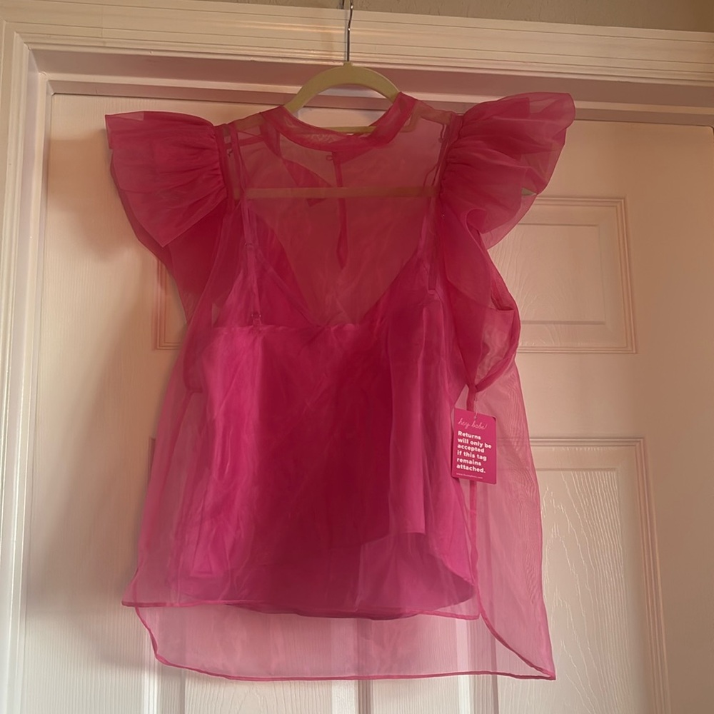Buddy Love Pink Sheer Blouse